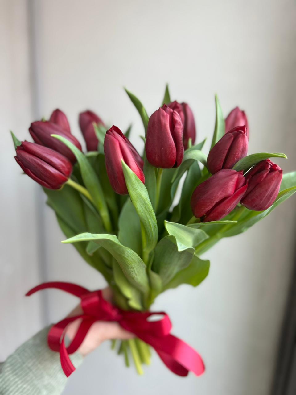 Красный тюльпан 15 шт